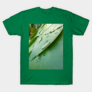 Caterpillar on Waterlily V2 T-Shirt